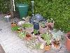 Bild "SL740232.JPG"