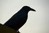 Bild "dsc_0114.jpg"