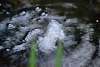 Bild "dsc_0176.jpg"