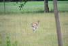 Bild "DSC_0001.JPG"