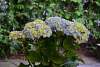 Bild "DSC_0047.JPG"