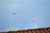 Bild "DSC_0081.JPG"