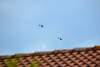 Bild "DSC_0082.JPG"