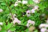 Bild "DSC_0115.JPG"