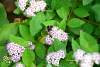 Bild "DSC_0119.JPG"