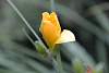 Bild "DSC_0227.JPG"