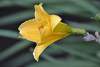 Bild "DSC_0232.JPG"