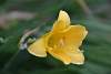 Bild "DSC_0233.JPG"
